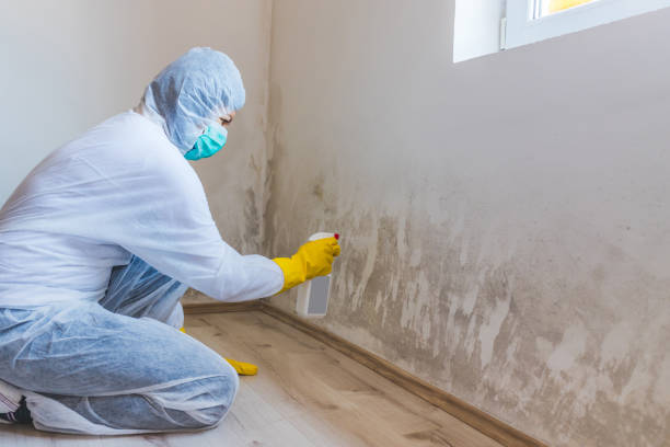 Commercial Mold Remediation assessment for commercial property in Terra Ceia
